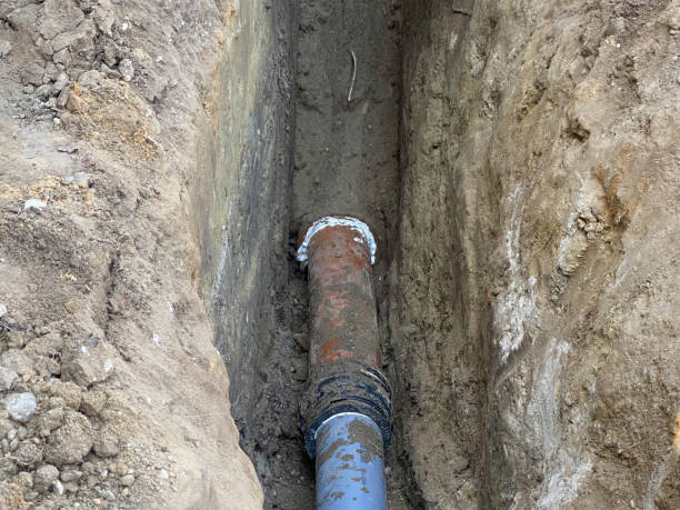 Best Basement water damage restoration  in Bolivar, MO