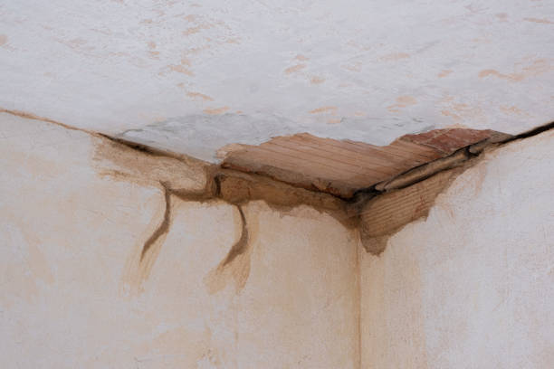 Best Local water damage restoration  in Bolivar, MO