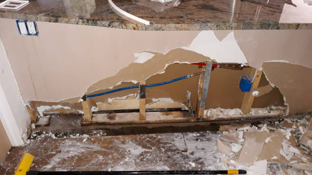 Best Carpet water damage restoration  in Bolivar, MO