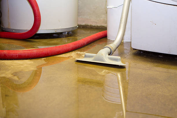 Best Flooded house restoration  in Bolivar, MO