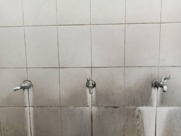  Bolivar, MO Water damage restoration Pros
