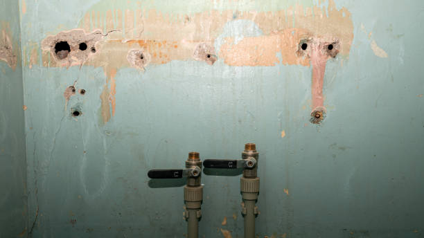 Best Flood restoration services  in Bolivar, MO