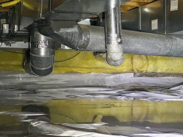 Best Ceiling water damage repair  in Bolivar, MO