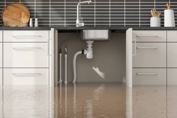 Best Mold removal after water damage  in Bolivar, MO