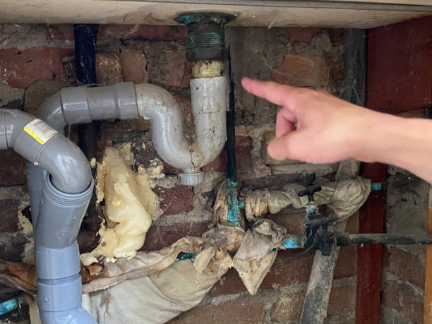 Best Water damage restoration services  in Bolivar, MO