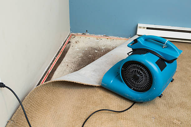 Best Water damage restoration near me  in Bolivar, MO